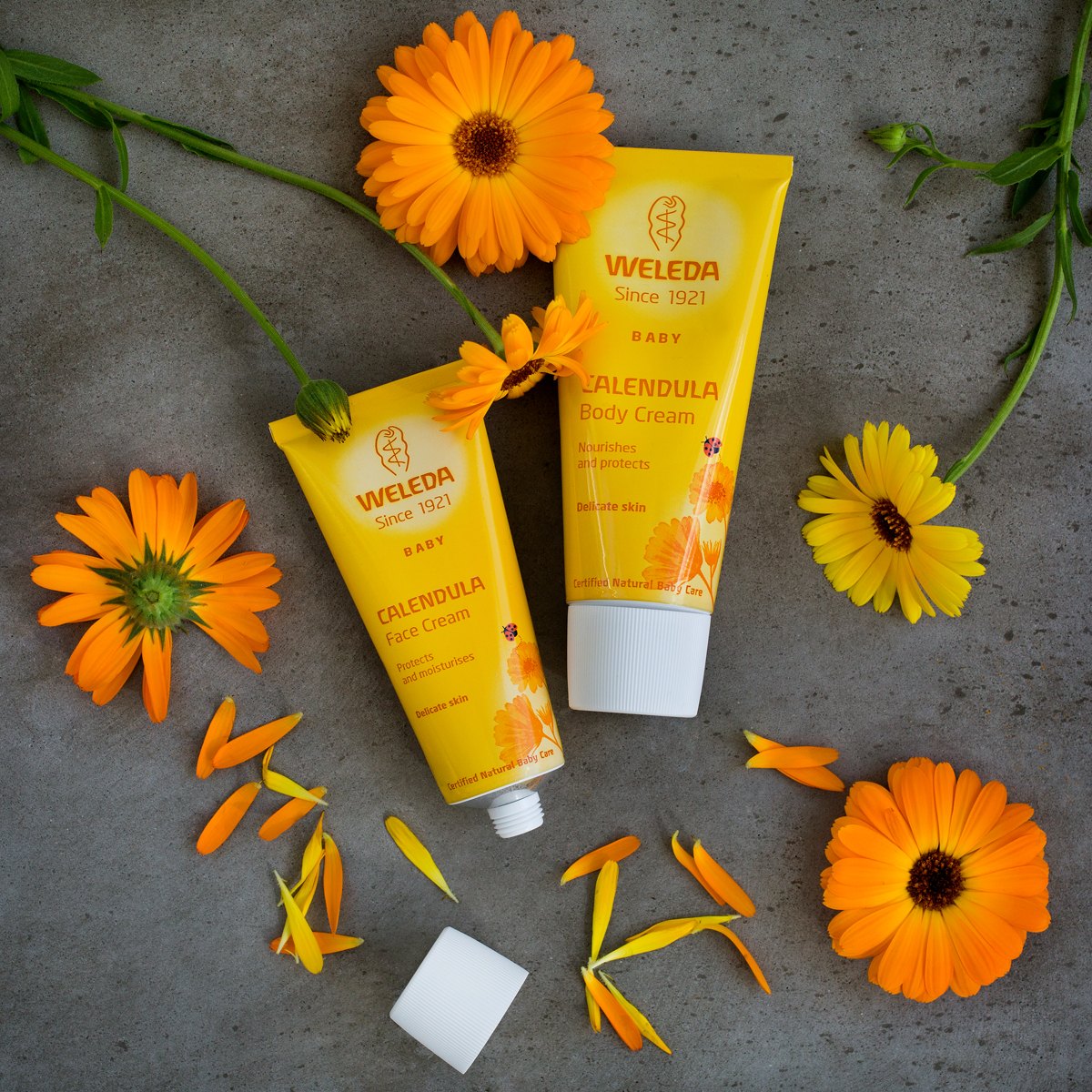 Weleda 10