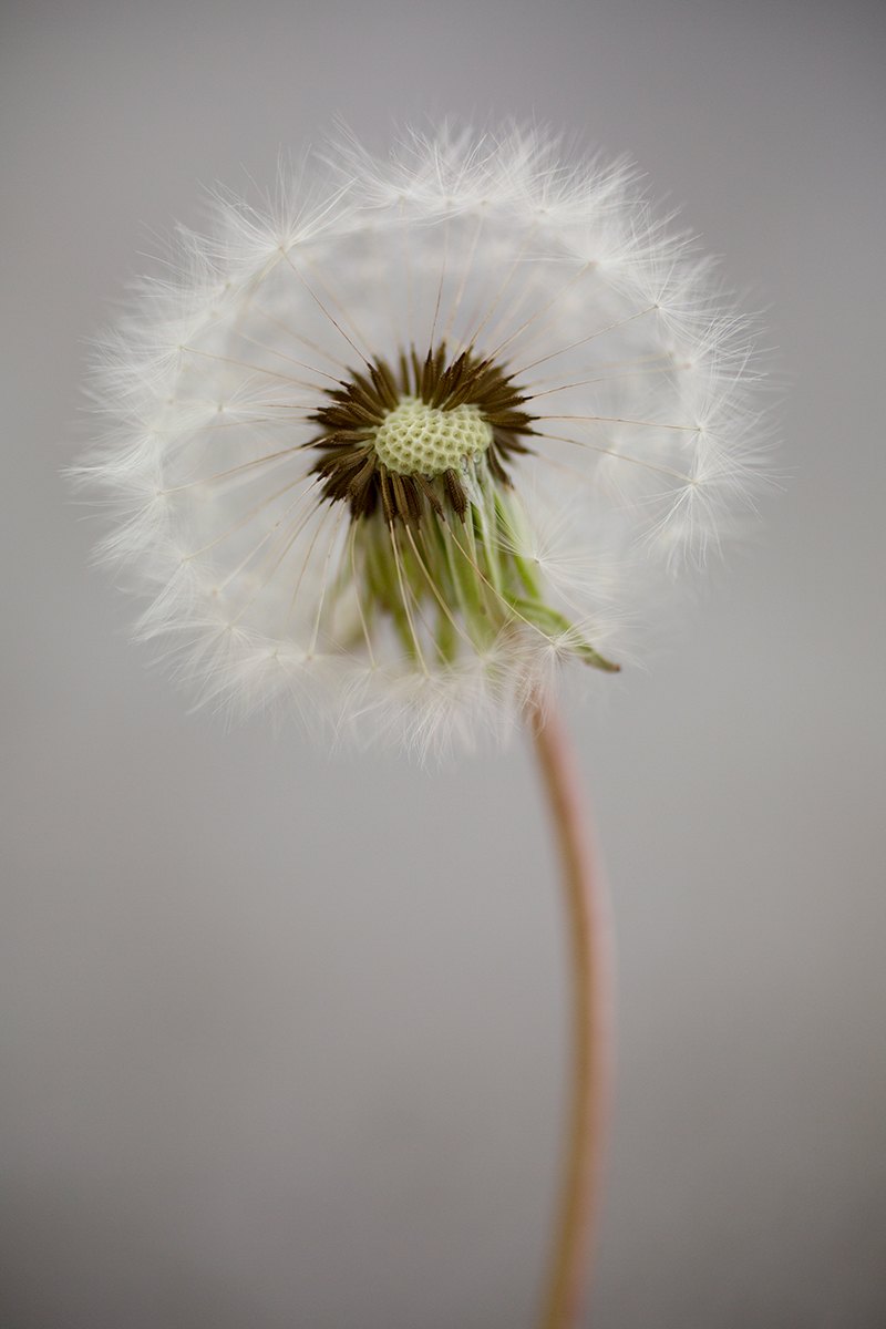 Photo Art 16