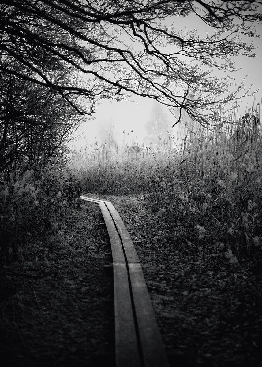 Photo Art 19