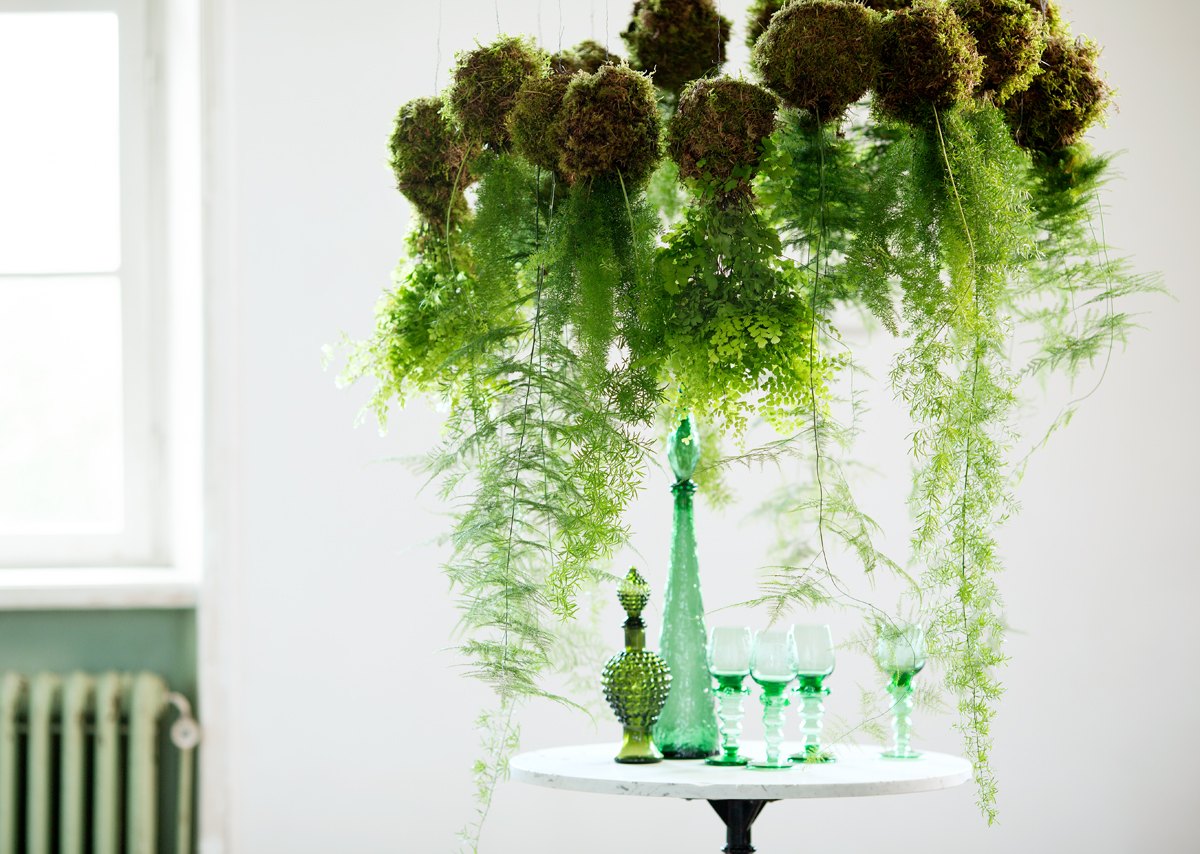 Interflora 16