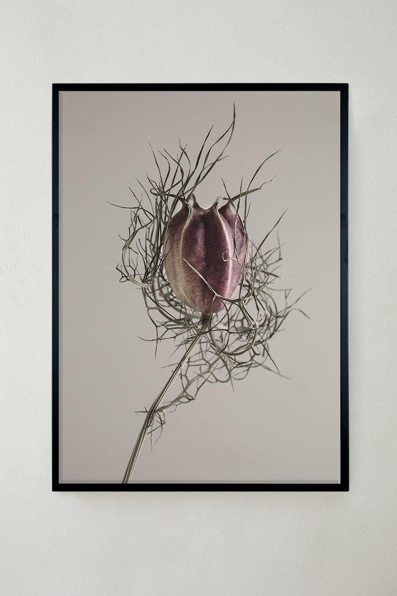 Photo Art 21