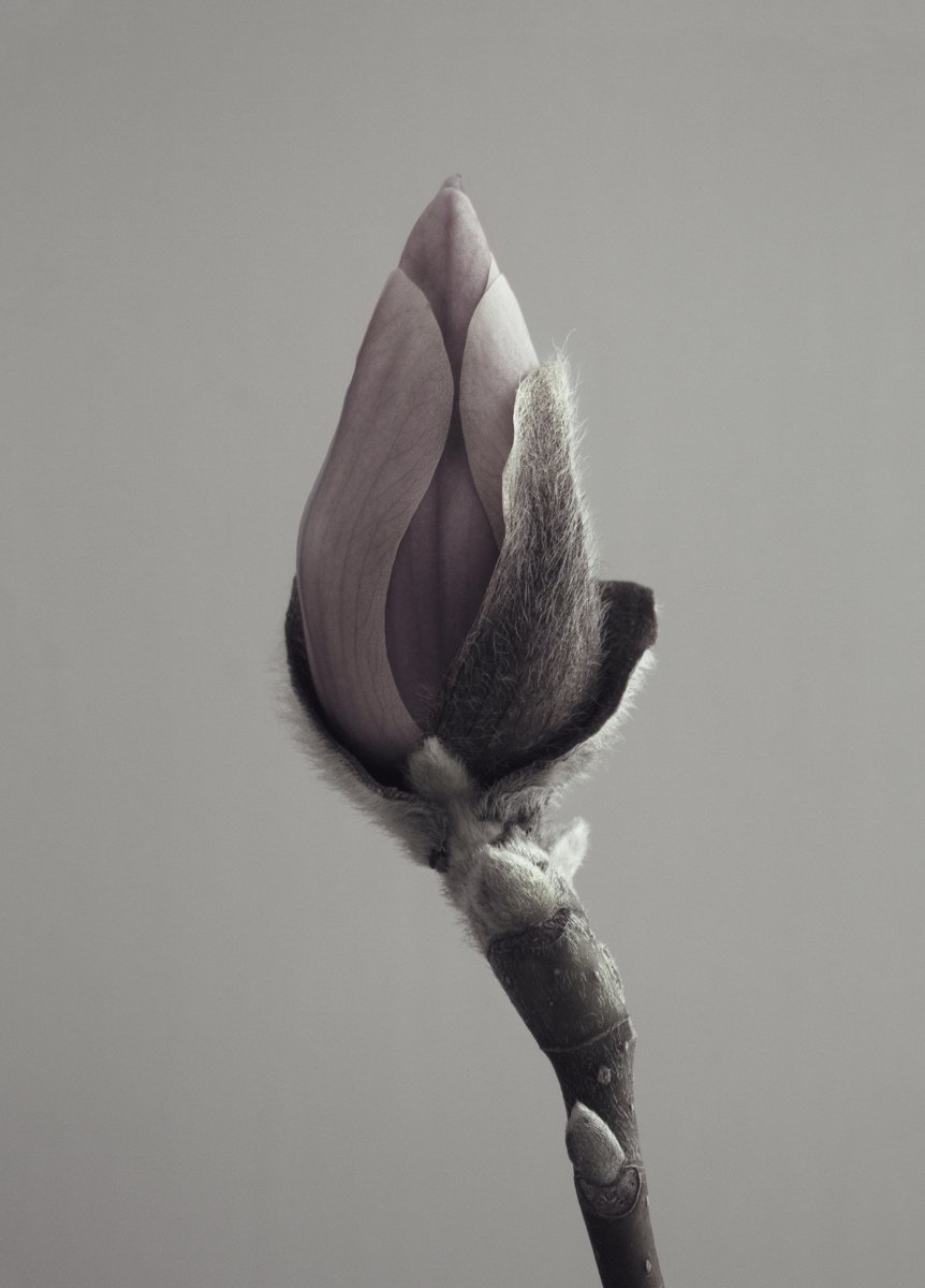 Photo Art 9