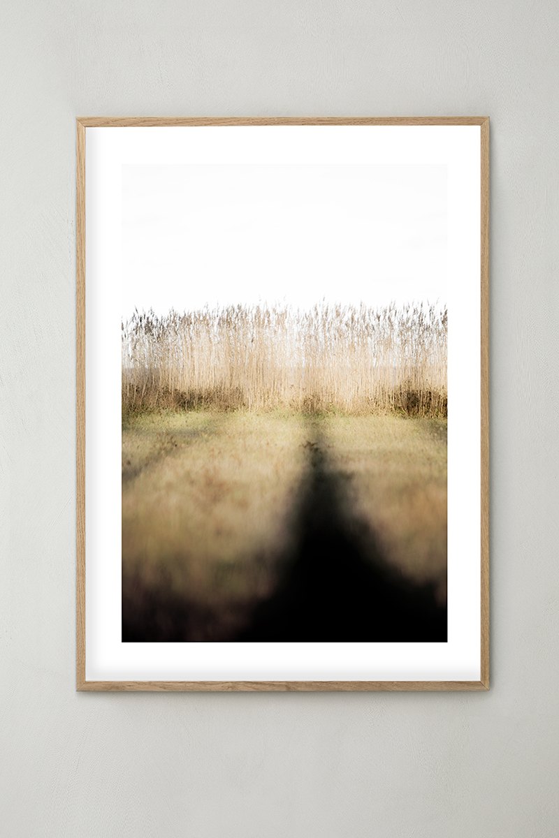 Photo Art 17
