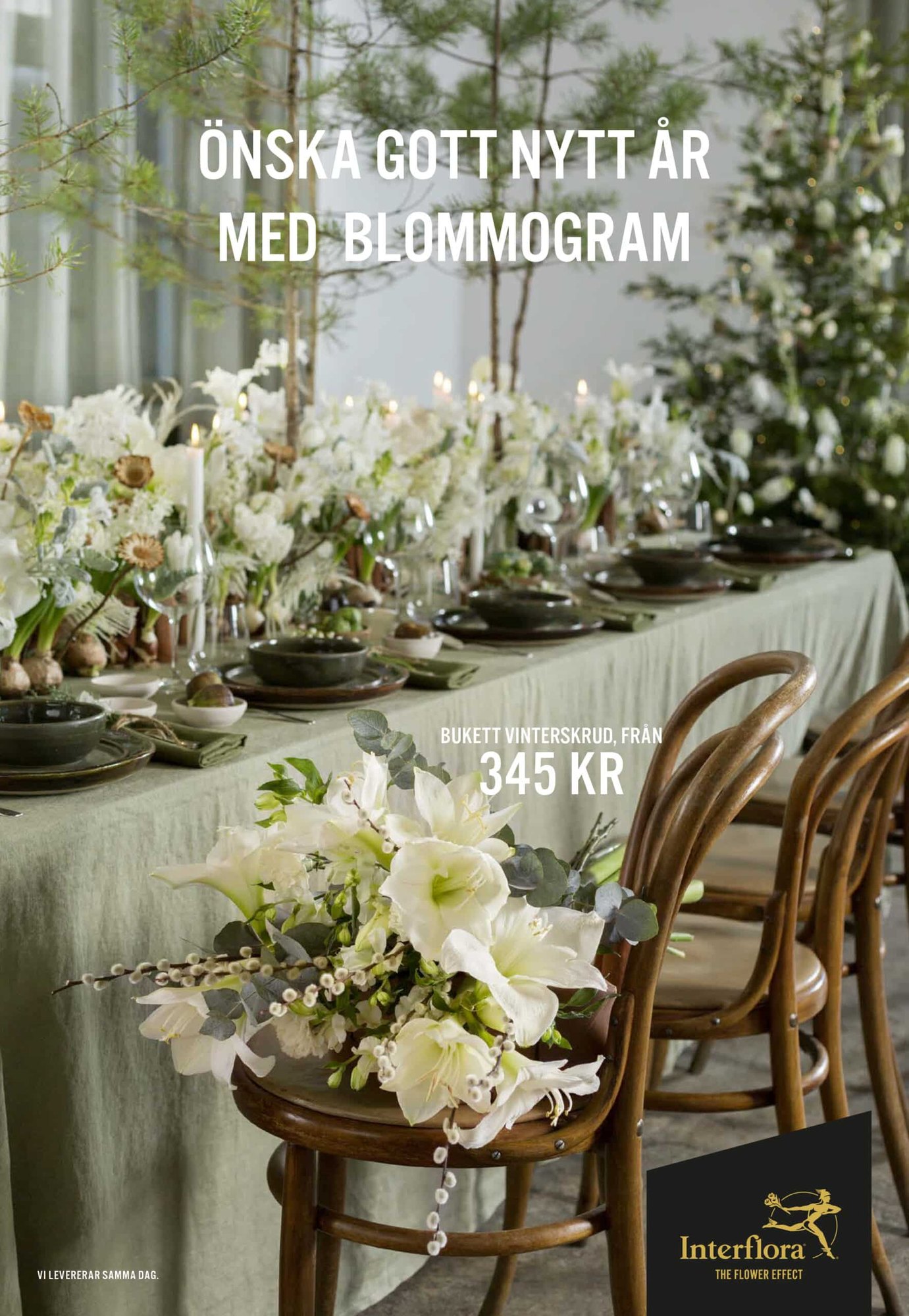 Interflora 6