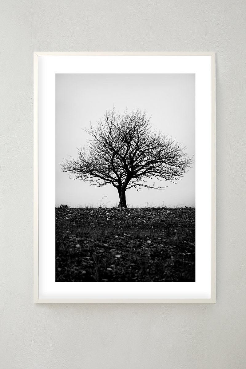 Photo Art 20